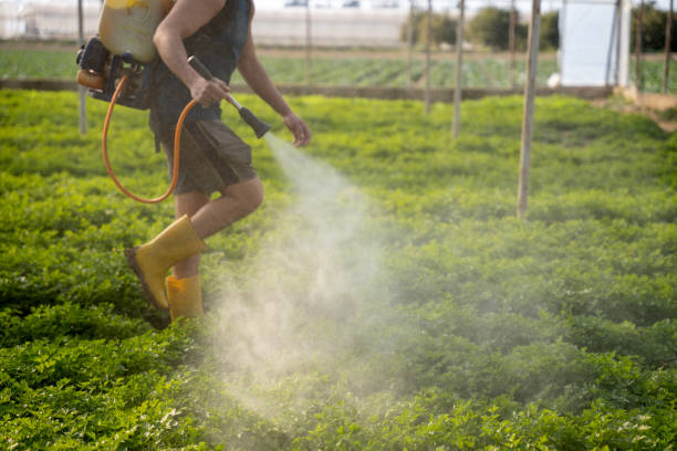 Pest Control Cost in Winter Gardens, CA